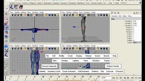 Character Setup in Maya Part 4 (Urdu-Tutorial)