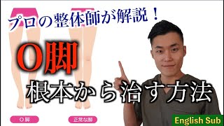 【ストレッチ付き】O脚を根本から治す方法を解説します【整体師Kazu】English subs