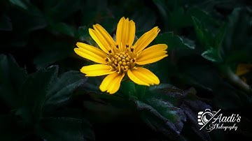 How to edit moody dark photos in snapseed🔥