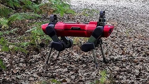 Environment patrol: These agile robots are keeping an eye on Italy’s forests