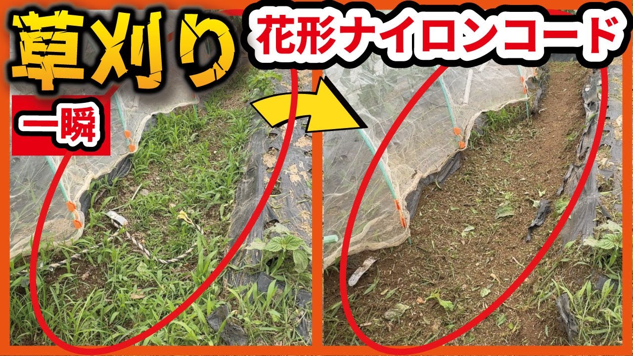 マキタ花形ナイロンコードが一瞬で草が消えました！ - YouTube