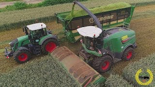 GPS Häckseln 2019 / Fendt Katana 65 / Fendt 1038, 936,930 und 826 Vario / LU Carsten Walkling