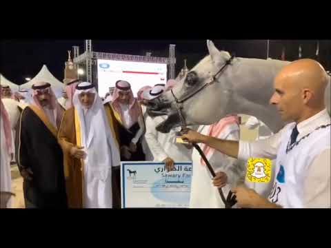 تتويج الأبطال الفحول 2 بطولة مكة 9 لجمال الخيل