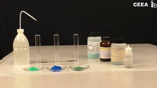 Detection of ions with precipitation reactions