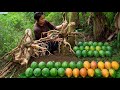 Easy to harvest and Cook papaya using a traditional recipe