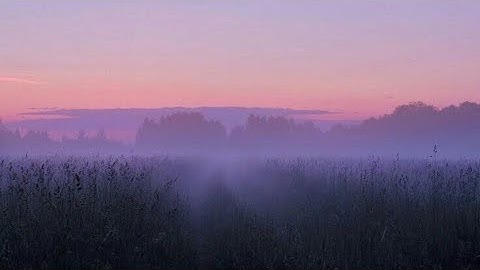 A playlist when you need a hug #2 (slowed + reverb) 