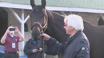 Medina Spirit의 실패한 Kentucky Derby 약물 테스트에 대한 전문가들의 평가