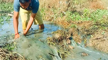 Removing Dam Drainage - Unclogging Grass In Canal Drain Water