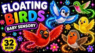 32 MIN 🐦 Floating Birds Baby Sensory | Colors, Movement &amp; Calming Visual Stimulation