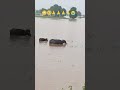Pray for all 🙏##punjabflood #punjab #prayforpunjab #trendingshorts #pmo