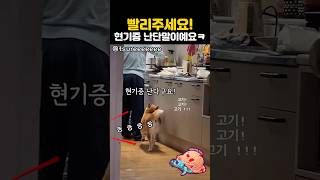 고기 빨리주세요! 현기증 난단말이예요ㅋㅋ