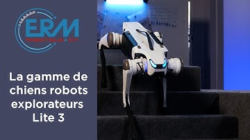 Les robots chiens d