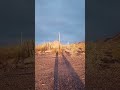 First sunrise of 2024 boondocking in southern Arizona.