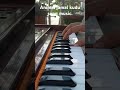 Animal jamal kudu song music. #harmonium #music #harmoniumtutorial #jamalkudu