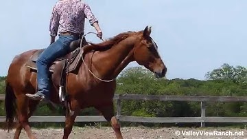 Budha Bob Acre   ***For info, price, etc., go to our website*** Valley View Ranch