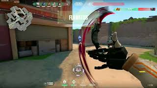 Truepain Aimers 2