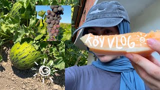 Sakin Müziksiz Köy Vlog Pt.1