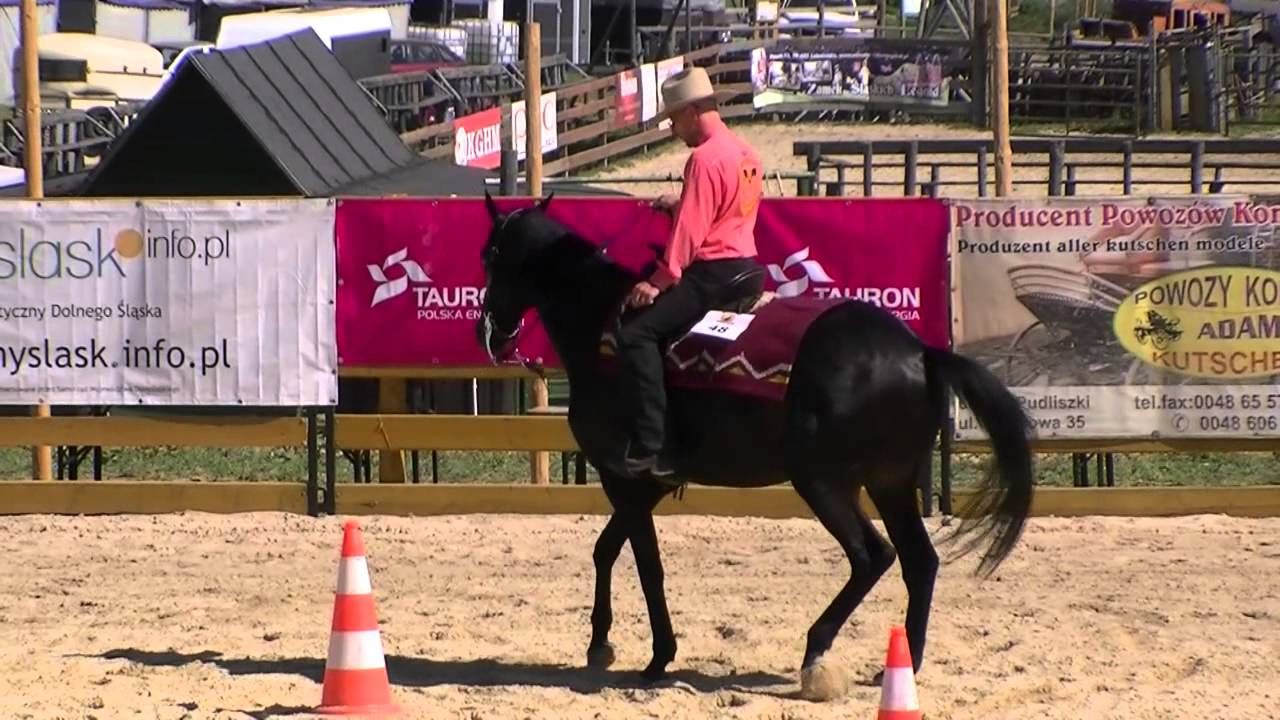 Zawody Western i Rodeo - Trail Senior Open - Ścięgny - YouTube