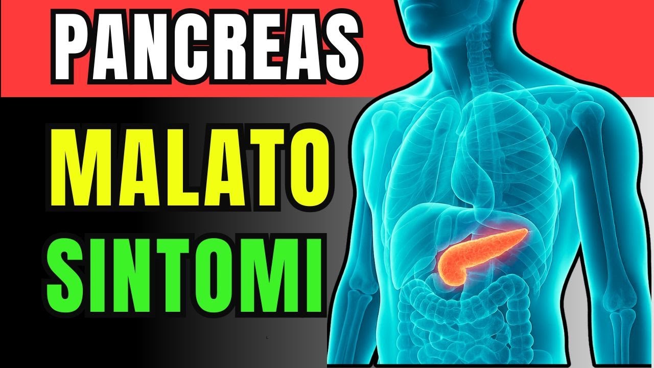 Sintomi che il Pancreas è Malato | Pancreas Segnali che non Devi ...