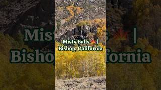 🍁 Stunning Fall Colors at Misty Falls | South Lake, Bishop California 🍂