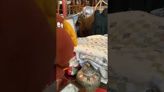IMG 0846