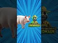 🦁 When Cute Animals Become Nightmares… 😱 | Zoonomaly