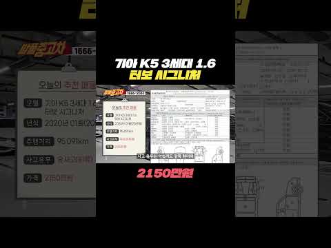 <strong>기아</strong> <strong>K5</strong> DL3(3세대) 1.6 <strong>터보</strong> 시그니처 중고차 가격 실화입니까??