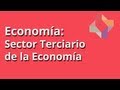 Sector Terciario de la Economía