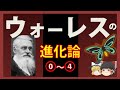 【ゆっくり解説】ウォーレスの進化論①～④　統合版