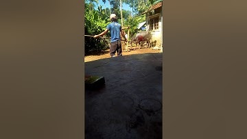 Phong tục của người dân tộc Hre