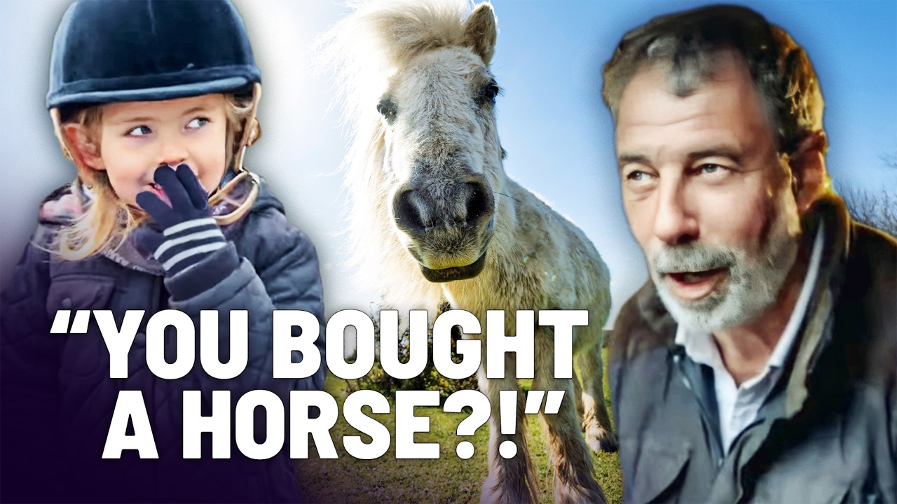 Documentary backdrop image for We Secretly Bought A Horse (Don't Tell Dad!) (2025)