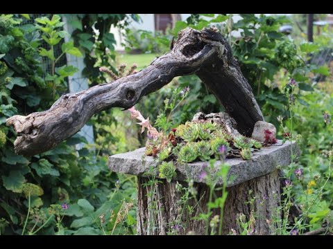 Video: Garten Als Dekoration Des Geländes