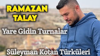 Ramazan Talay Yare Gidin Turnalar Resimi