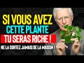  ne jamais sortir cette plante de votre maison   attire largent et la richesse