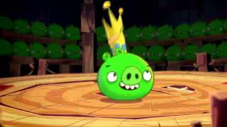 Злые птицы - Свиньи таланты / Angry Birds - Pig talent Злые птицы - Свиньи таланты / Angry Birds - Pig talent