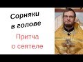 Как прийти к Богу? Притча о сеятеле. Как жить правильно и с Богом?