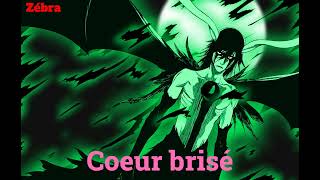 Zébra - Cœur Brisé