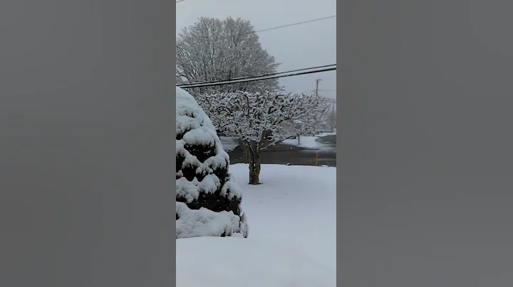 Snow day again