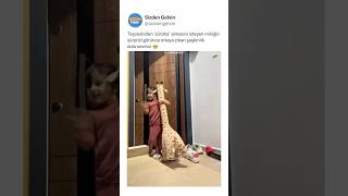 Sürprizi Gören Miniğin Şaşkınlık Dolu Sevinci 🥹