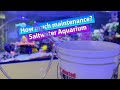 How much maintenance does a saltwater aquarium ACTUALLY need?