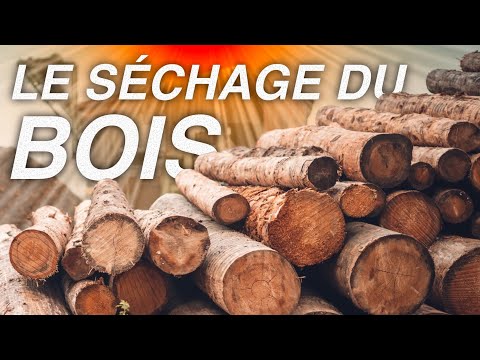 Vidéo: Séchoir à bois DIY : types, types et photos