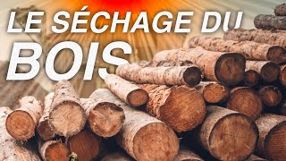 COMMENT FAIRE SÉCHER SON BOIS ? (C'est plus rapide que vous le pensez)