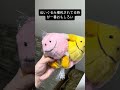 ぬいぐるみ梱包されてる時が一番おもしろい