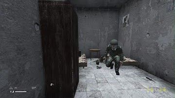 Saving a hostage in PD Ukraine Milsim PS5 DayZ