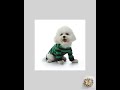 Fashion Personality Home Dog Clothes