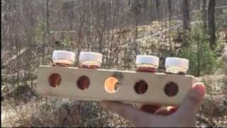 Grading Maple Syrup