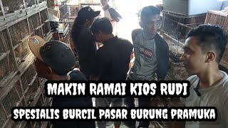 PASAR BURUNG PRAMUKA TERBARU HARI INI