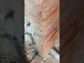 plumber tricks#trendingshorts#viral#trendingpost#shorts#short#electrician#plumber #plumbing