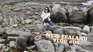 【新西兰旅行vlog #04】| New Zealand | Day3&4 | 惠灵顿 | 坐船去南岛 | 前往皇后镇 | by Emma is emma 205 views 3 years ago 19 minutes