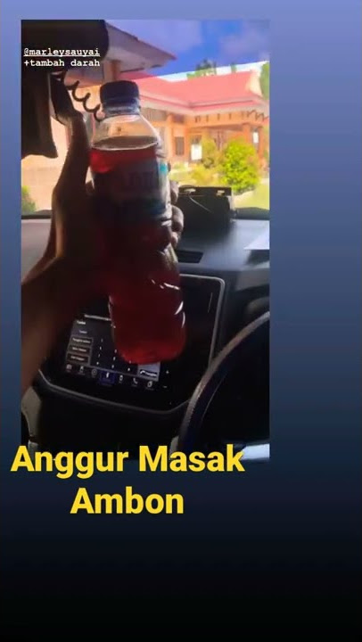 Anggur Masak #anggur #ambon #maluku #papuabarat